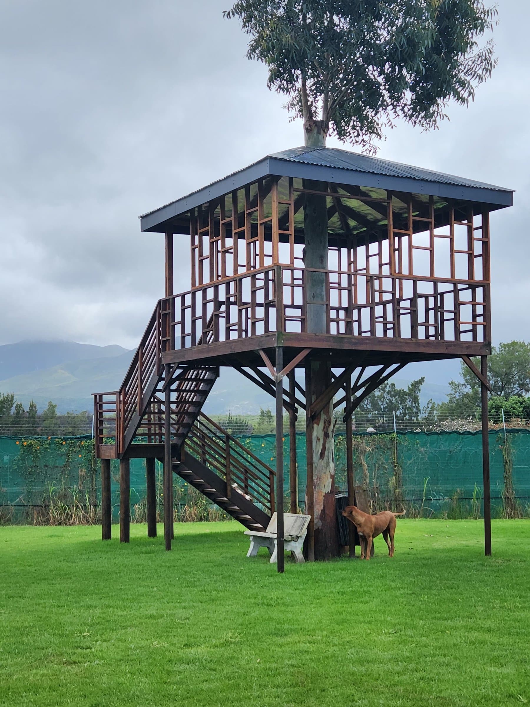 A raised timber lookout with a covered deck and stair, built on a lawn